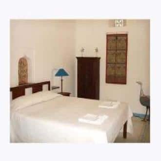 The Shelter Of An Historical Fort., Jaipur 4